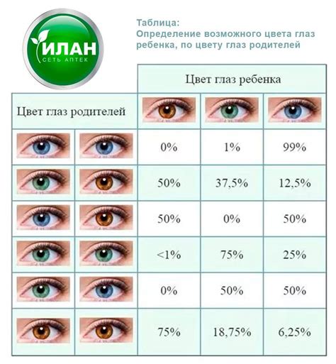 Влияние родителей на определение оттенка глаз у малыша