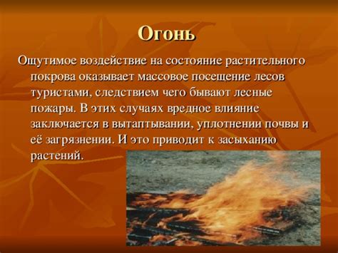 Влияние снежного покрова на состояние гроздьевых растений