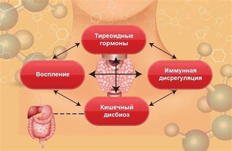 Влияние содержания витамина D на функцию щитовидной железы