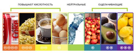 Влияние соевых продуктов на гармоничный баланс в организме