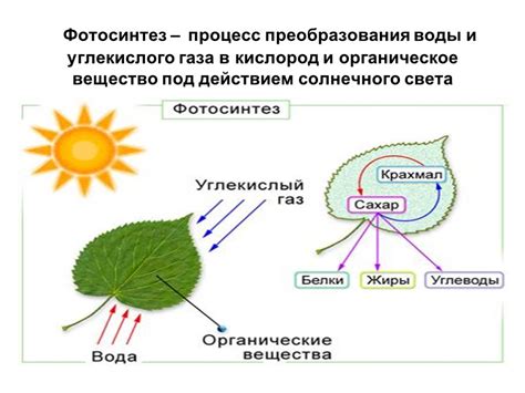 Влияние солнечного света на процесс высыхания одежды