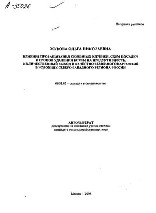 Влияние сохранения клубней без выкапывания на сезонный цикл бегоний