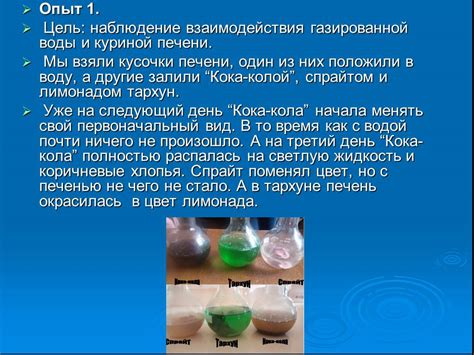 Влияние сочетания сметаны и воды на организм человека