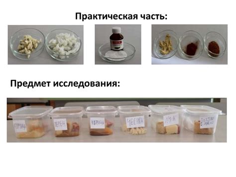 Влияние срока годности на сохранность пищевых продуктов