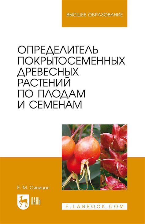 Влияние статуса и достижений на доступ к семенам виноградных растений