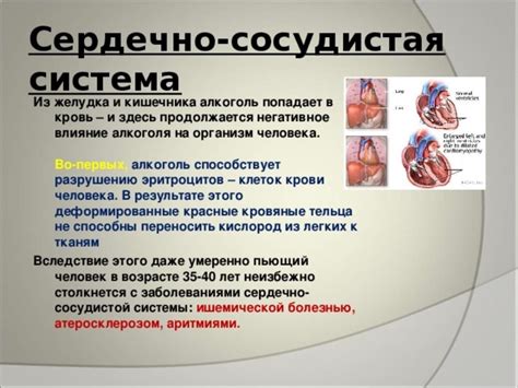 Влияние стресса на работу сердца и кровеносной системы