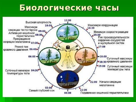 Влияние температуры на вкусовые и текстурные свойства пищи