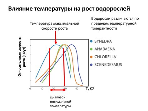 Влияние температуры на длительность излучения света