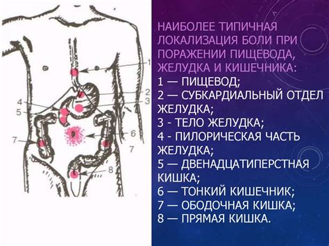 Влияние теплоты на работу пищеварительной системы при поражении пищевода