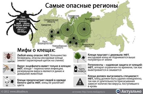 Влияние типовой растительности на распределение энцефалитных клещей в Новгородской области