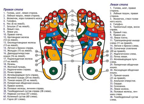 Влияние точки жизни на ноге на здоровье и функцию органов