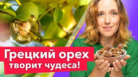 Влияние уклона и освещения на успешный процесс выращивания грецкого ореха