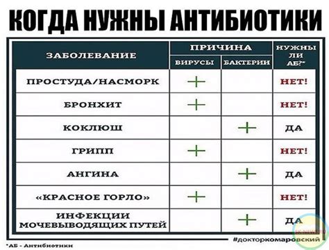 Влияние употребления валерьянки при одновременном приеме антибиотиков