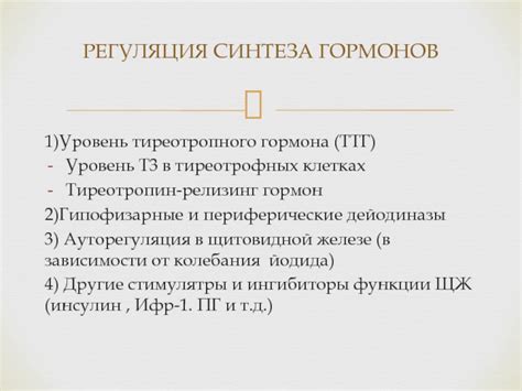 Влияние уровня ТТГ на организм: научное объяснение