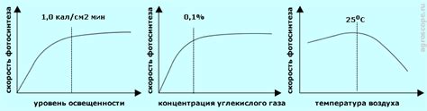 Влияние уровня освещенности на экономический рост государства