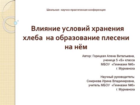 Влияние условий освещения на зрительное восприятие пауков