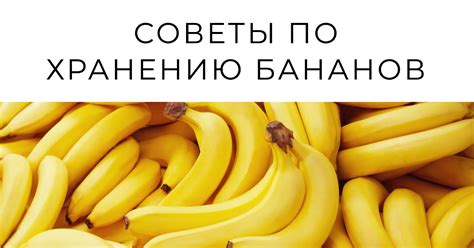 Влияние условий хранения на процесс созревания бананов