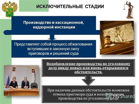 Влияние участия прокурора на процесс правосудия в кассационной инстанции