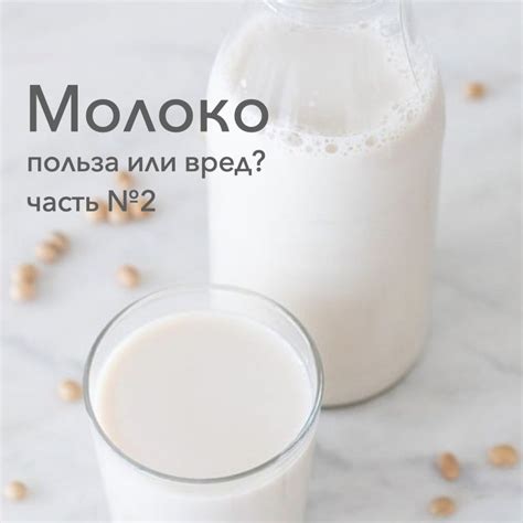 Влияние ферментов на пищеварение при потреблении молочных продуктов