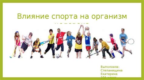 Влияние физической активности на работу кроветворного органа