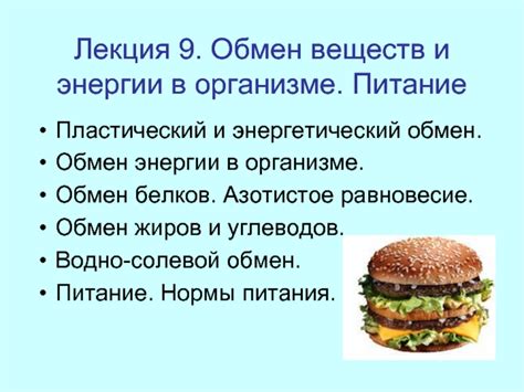 Влияние фиников на обмен веществ в организме: научное обоснование и эффекты