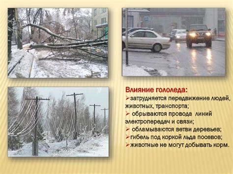 Влияние человеческой деятельности на ареал ледяной рыбы