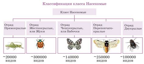 Влияние человеческой деятельности на численность и места обитания рыбы вьюн