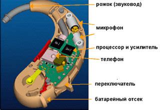 Влияние челюстного аппарата на акустические процессы и здоровье слухового аппарата