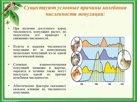 Влияние численности кошачьей популяции на экологическую обстановку в нашем городе