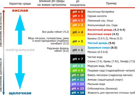 Влияние pH-уровня воды на процесс коррозии металла