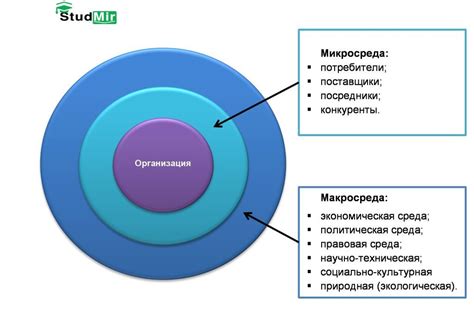 Внешние факторы: воздействие на внешний вид и характеристики автомобиля