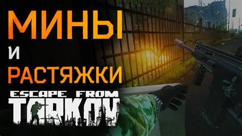 Внешний вид и особенности эгеря в игре Escape from Tarkov