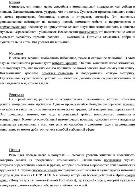 Внимание к потребностям и эмоциональной поддержке собаки