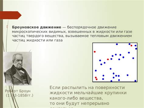 Внутреннее устройство вещества: организация микроскопических частиц и их сущностная функция