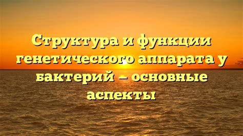 Внутриклеточное расположение генетического материала в бактерии: особенности и функции