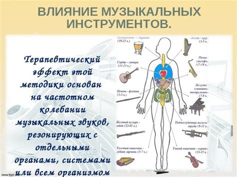 Вода и кровеносная система: научные факты об влиянии на организм