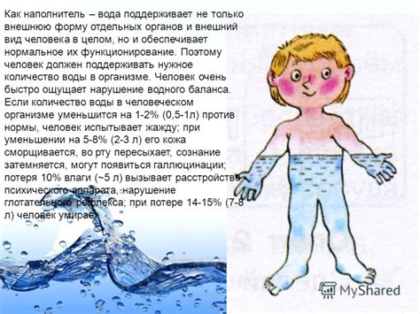 Вода обеспечивает нормальное функционирование органов и тканей