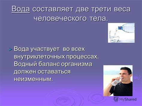 Вода участвует во всех процессах функционирования организма