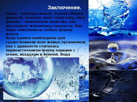 Вода – первостепенное дополнение для существования жизни