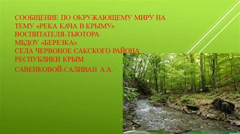 Водные просторы Ленинградского края: прекрасные локации для обнаружения популярных грибов