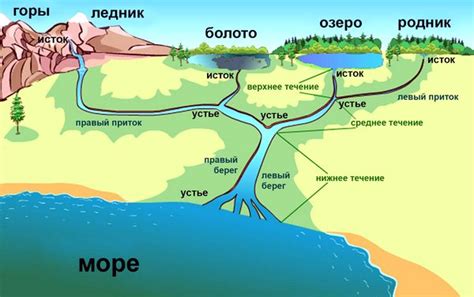 Водный режим и экосистема реки Тобол: свойства и биологическое соседство