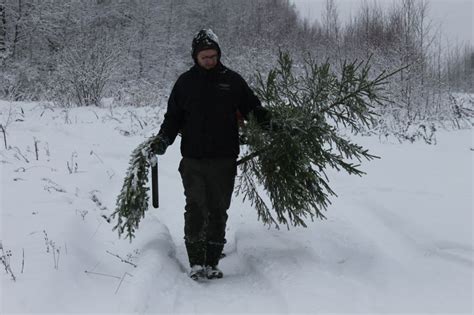 Водопоглощающие игрушки и аксессуары для безопасного времяпрепровождения в воде