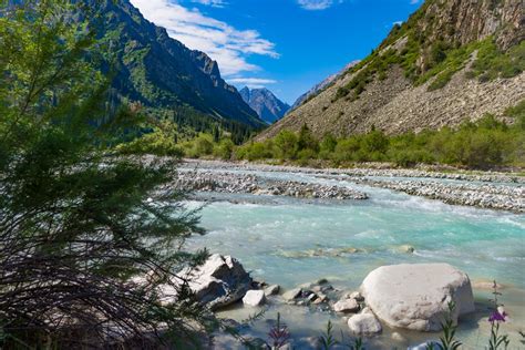 Водорослевое ущелье