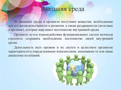 Воздействие аромата кошкиного листа на организм человека