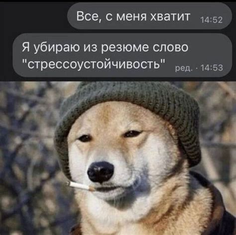 Воздействие атак в область паха на психологическое состояние противника