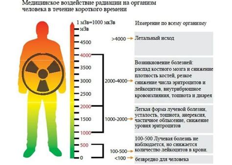 Воздействие ионизирующей радиации на окружающую среду и здоровье человека 