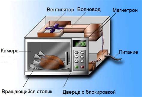 Воздействие нагрева бумажных емкостей в микроволновой печи на качество напитков