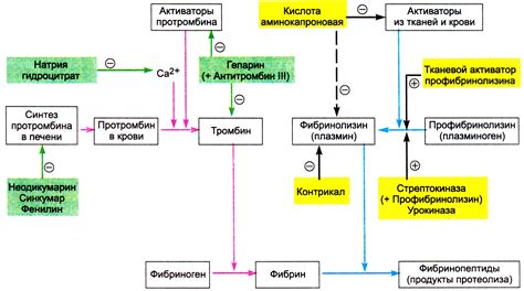 Воздействие народного средства на систему свертывания крови