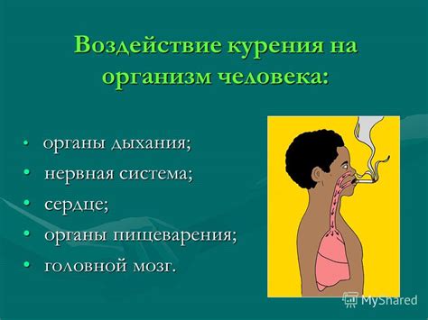 Воздействие на органы дыхания: критичность проблемы и признаки заболеваний