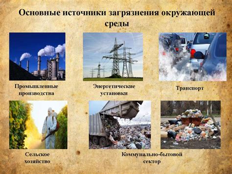 Воздействие окружающей среды на уровень гормонов